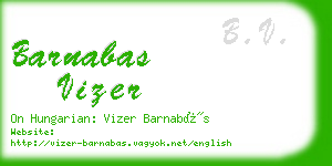 barnabas vizer business card